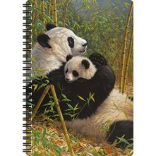 Obrázek z Notes 3D 14x21cm - panda s mládětem (10) 